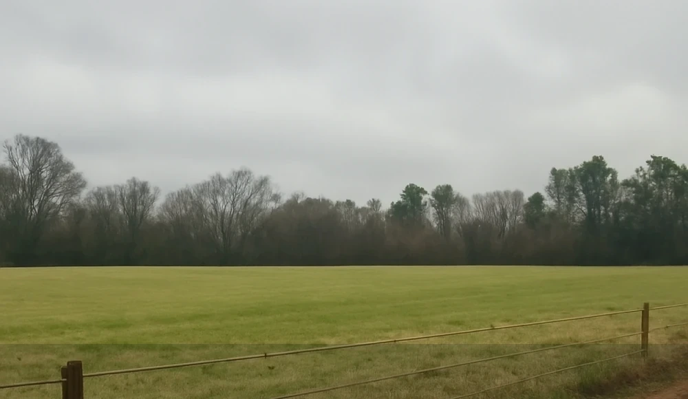 How to Sell Land Without a Realtor in Alabama land sale review